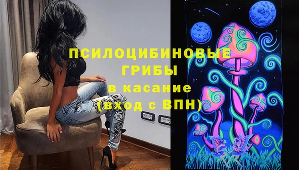 круглые Богданович