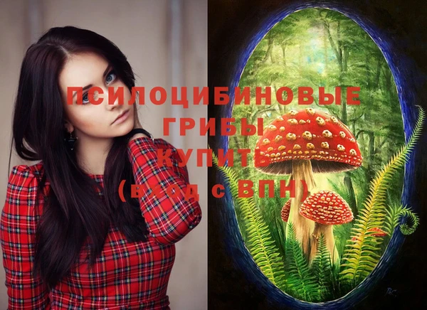 прущий лед Бронницы