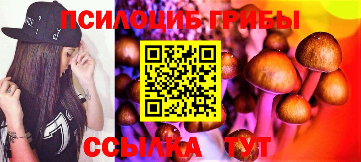 Галлюциногенные грибы мицелий  Вход с VPN  Воскресенск  даркнет сайт  Галлюциногенные грибы Psilocybe 